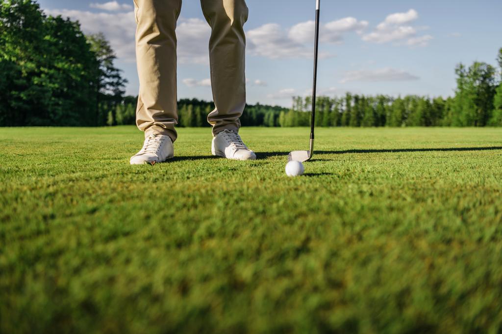 Golfia pelaava mies
  - Valokuva, kuva