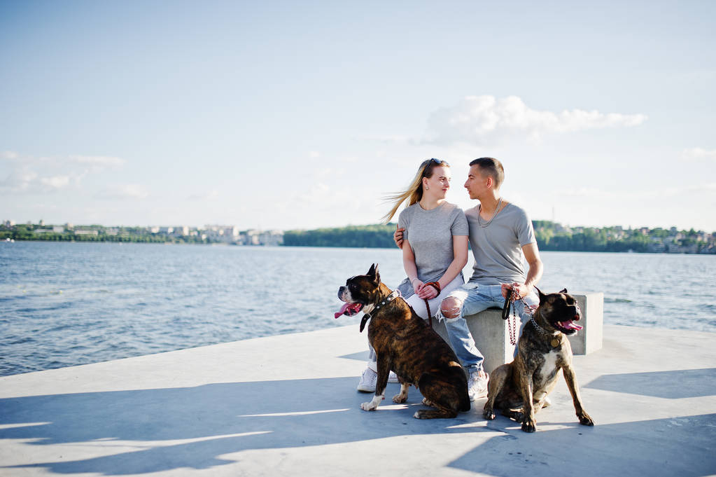 Casal apaixonado por dois cães pit bull terrier contra lado da praia
 - Foto, Imagem