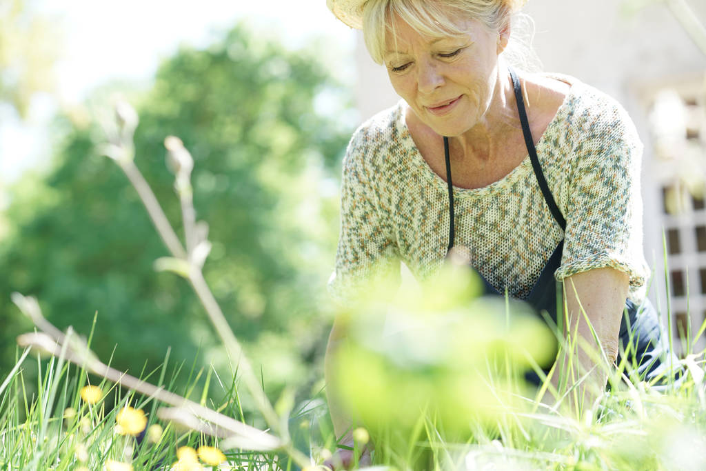 idősebb nő, Kertészet  - Fotó, kép