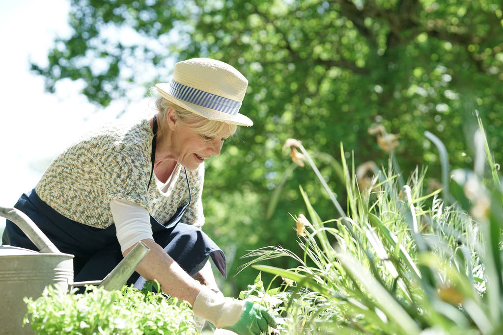Seniorin bei der Gartenarbeit  - Foto, Bild