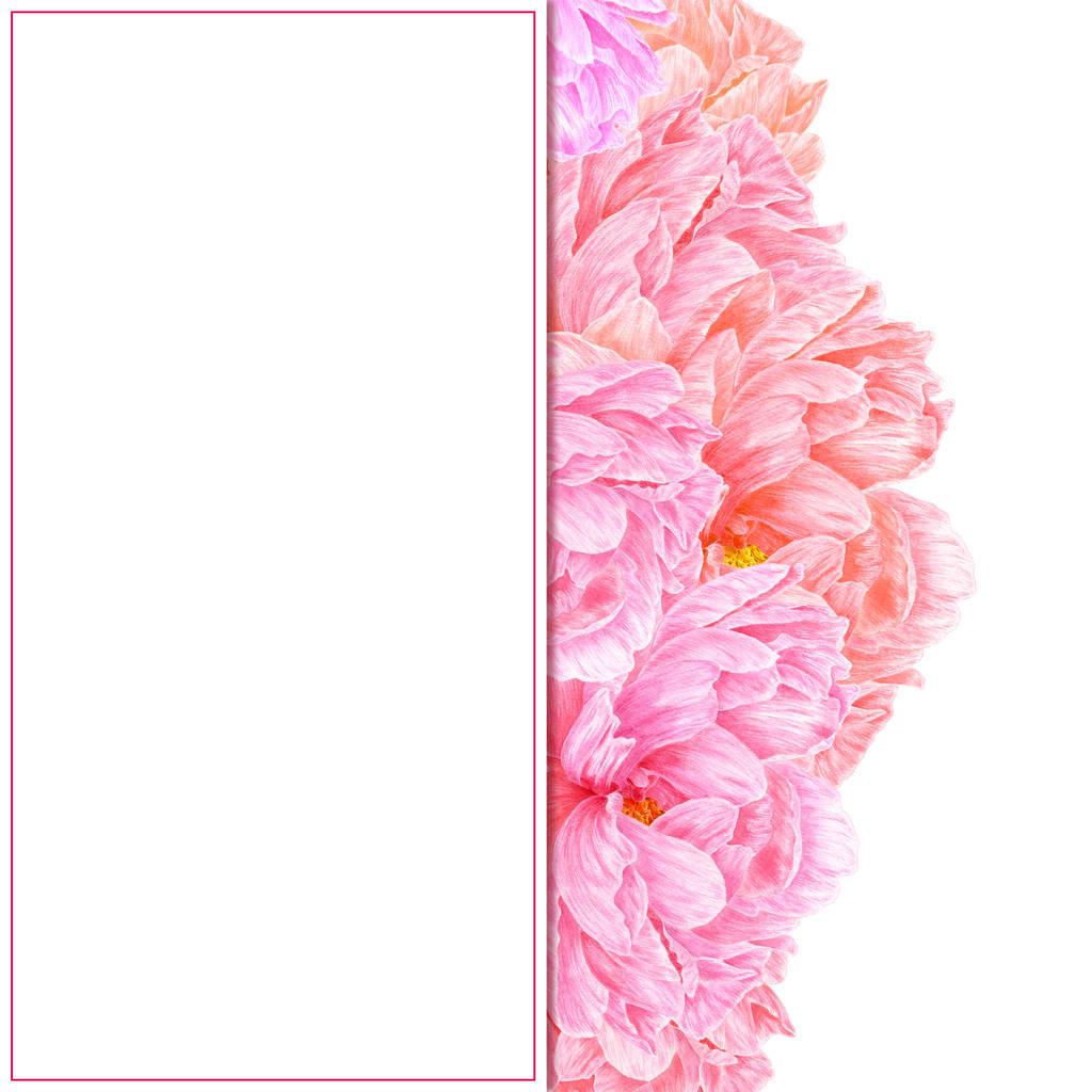 Akvarell rózsaszín bazsarózsa. Botanikai art. Sablon egy üzleti hitelesítésszolgáltatótól - Fotó, kép