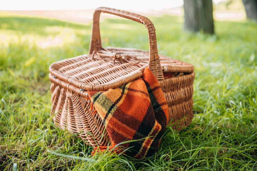 Picknickkorb auf Gras  - Foto, Bild