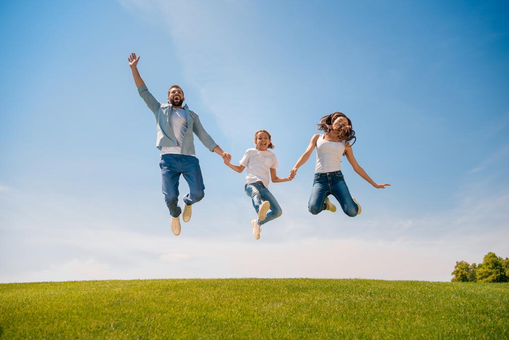 glückliche Familie springt auf Wiese - Foto, Bild
