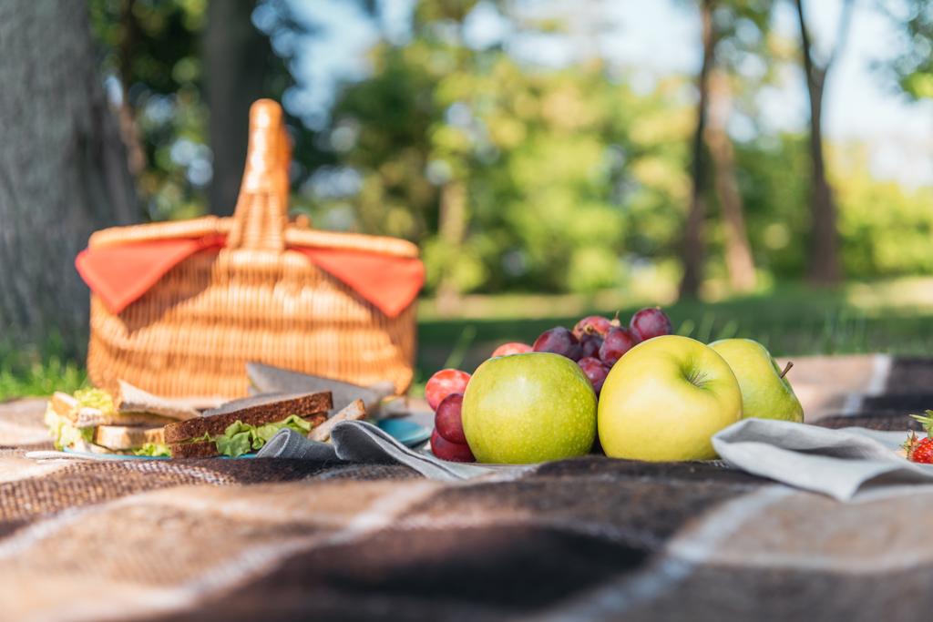 Корзина для пикника и фрукты
  - Фото, изображение