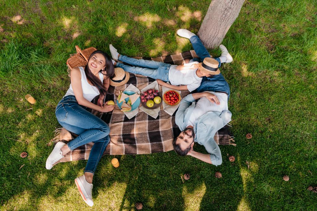 Happy Family al picnic  - Foto, immagini