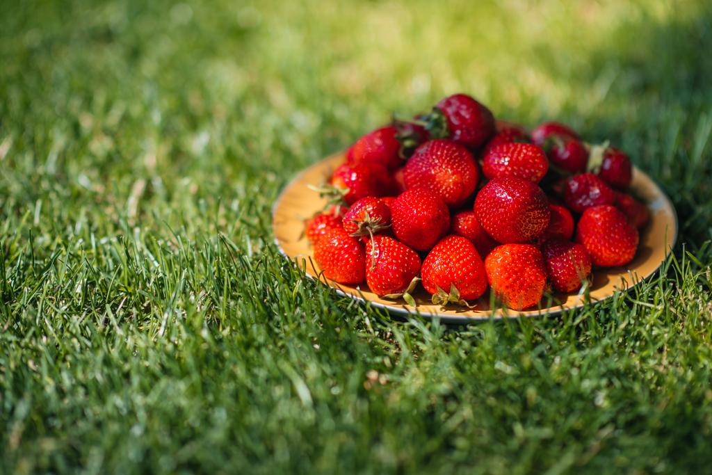 φρέσκες φράουλες σε χόρτο  - Φωτογραφία, εικόνα