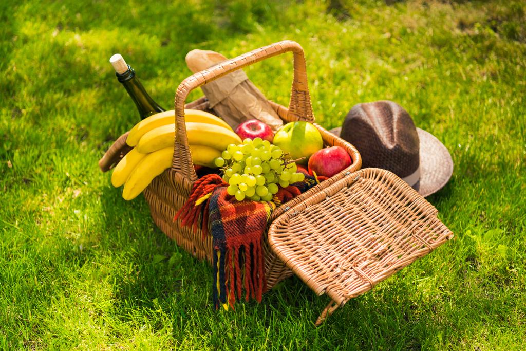 piknik kosár gyümölcsökkel és borral  - Fotó, kép