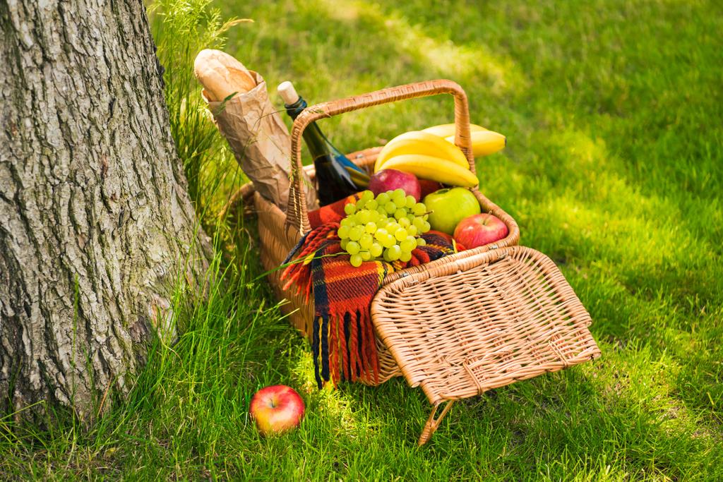корзина для пикника с фруктами и вином  - Фото, изображение