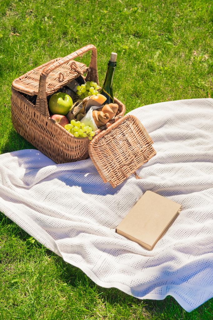 Picnic basket with fruits and book - Photo, Image