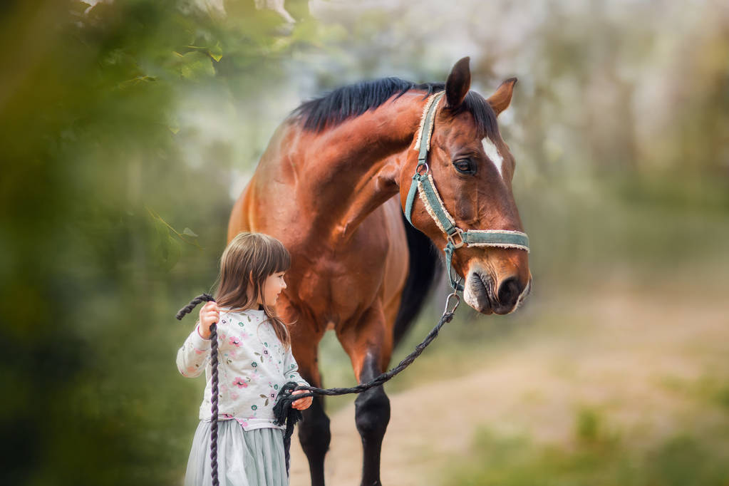 Ragazza con il suo cavallo ritratto all'aperto
  - Foto, immagini