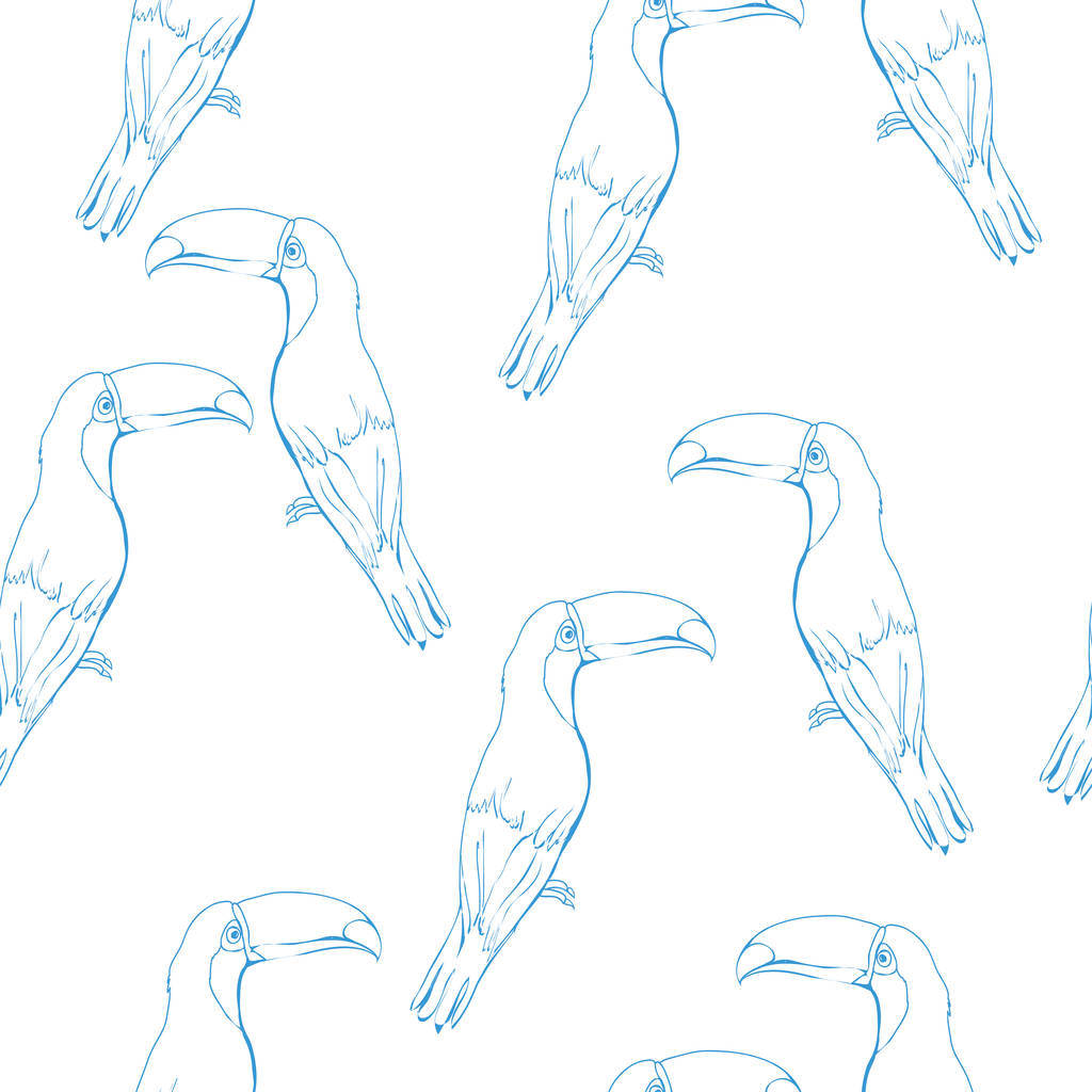 Tukan, pták, vektorové ilustrace - Vektor, obrázek