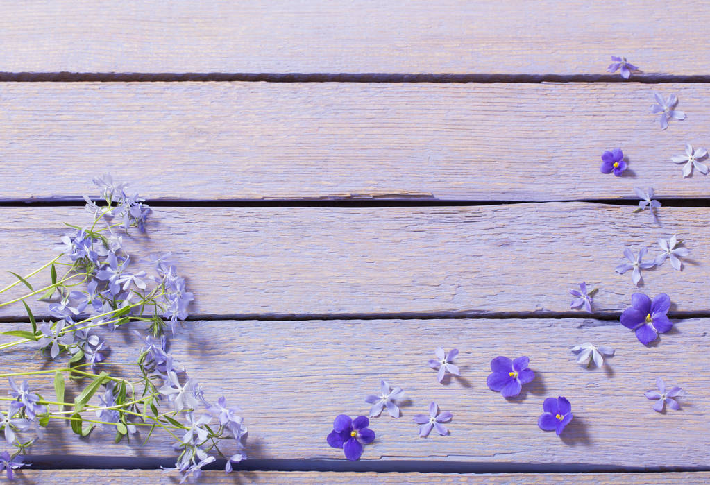 весенние цветы на деревянном фоне - Фото, изображение