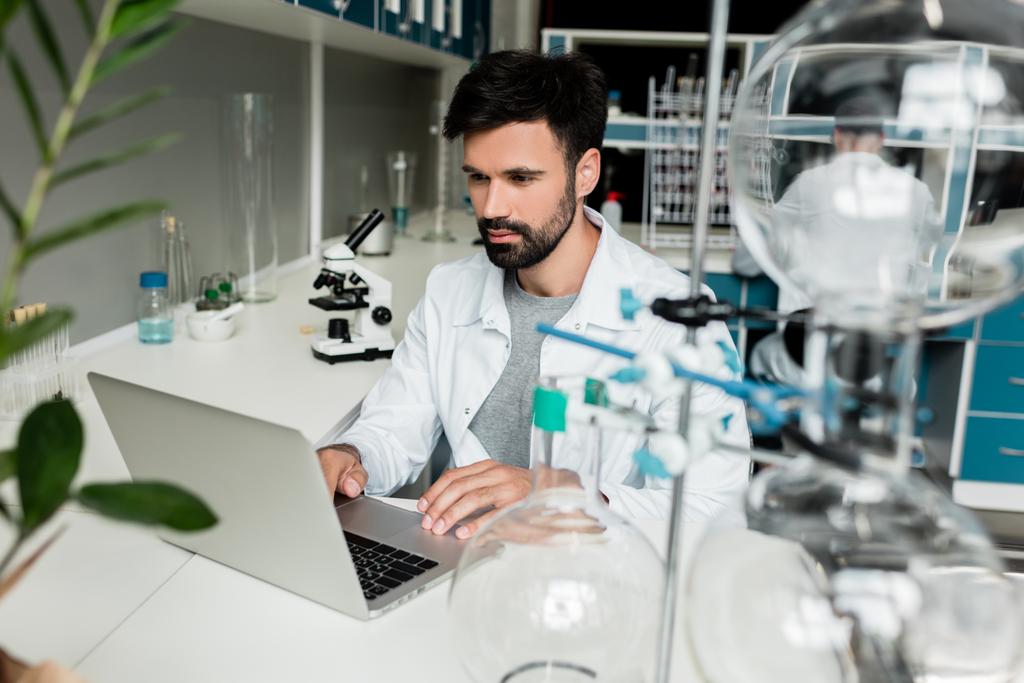 Scientist using laptop - Photo, Image