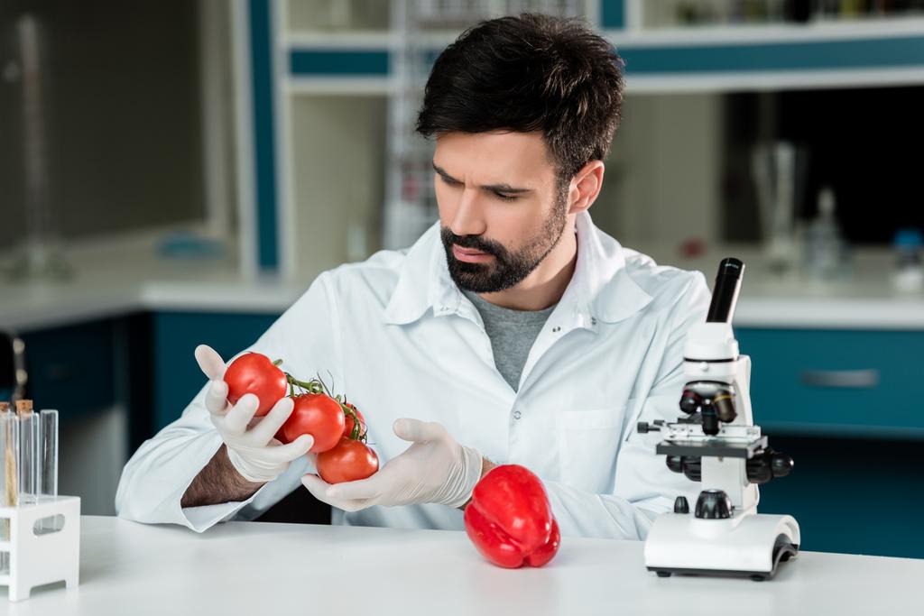 Naukowiec badanie warzyw  - Zdjęcie, obraz