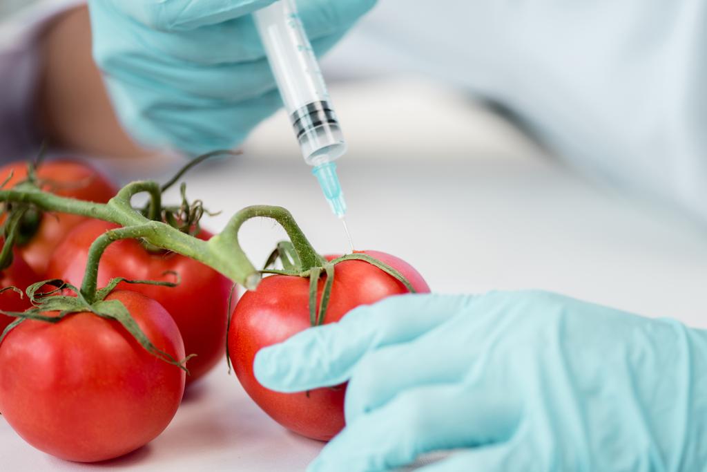 Cientista com seringa e tomate
 - Foto, Imagem