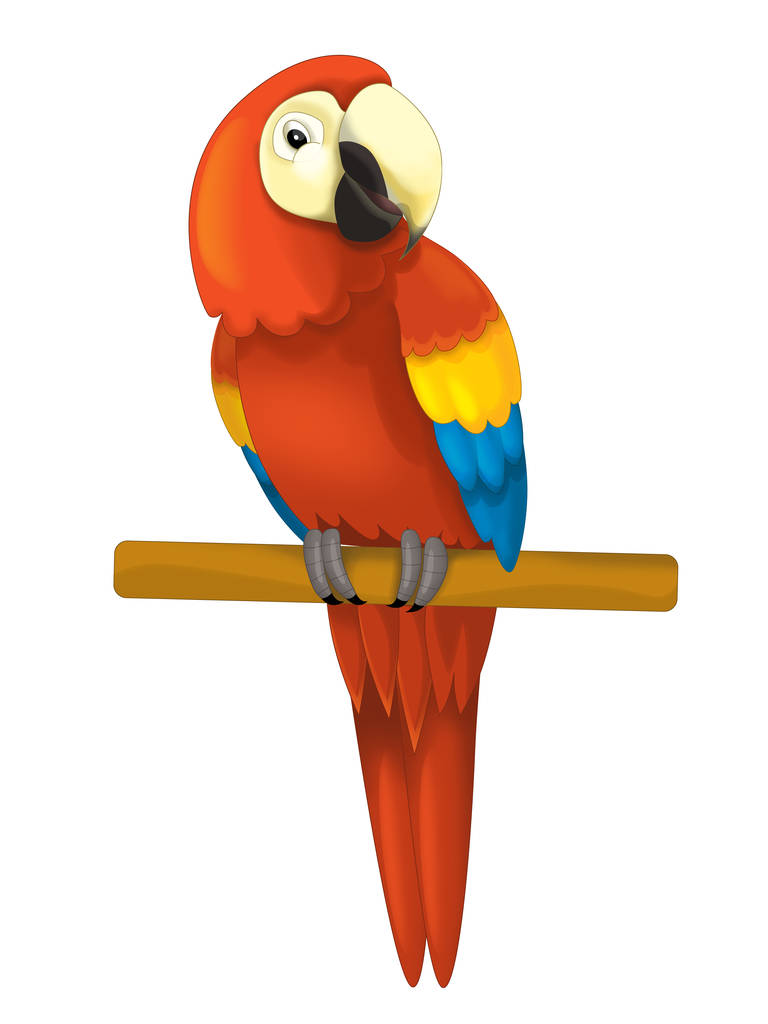papegaai vergadering op zoek- en rusttijden - Foto, afbeelding