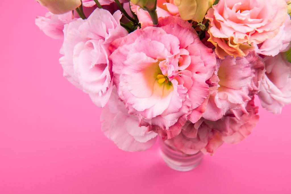 krásné růžové květy - Fotografie, Obrázek