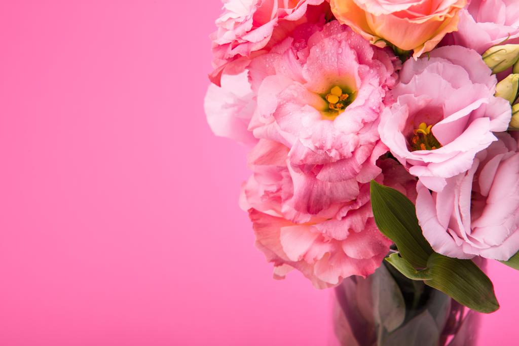 美しいピンクの花 - 写真・画像