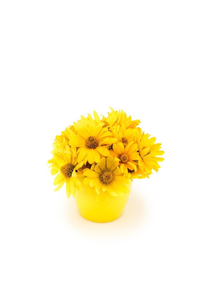 Красивые желтые цветы - Фото, изображение