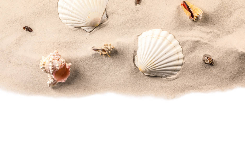 Sabbia con conchiglie diverse
  - Foto, immagini