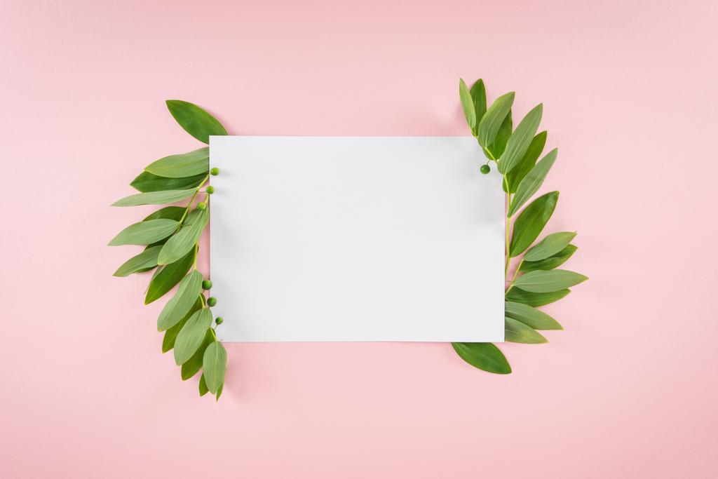 Carta bianca con foglie verdi
 - Foto, immagini