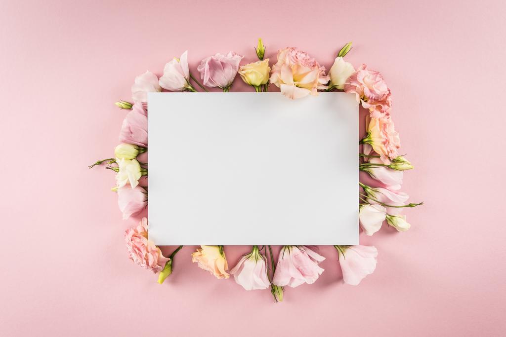 Hermosas flores y tarjeta en blanco
 - Foto, imagen