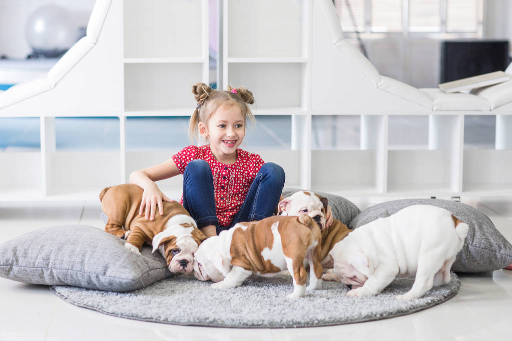 Portrait of a cute girl and little bulldog puppies - Photo, Image