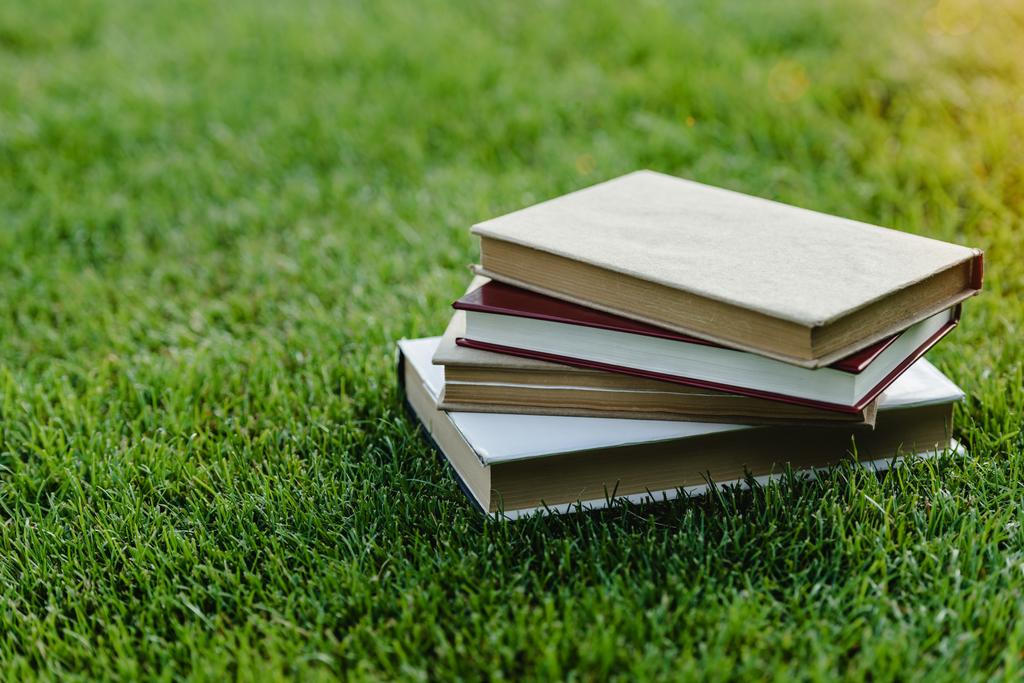 Yığın kitap çimenlerin üzerinde - Fotoğraf, Görsel