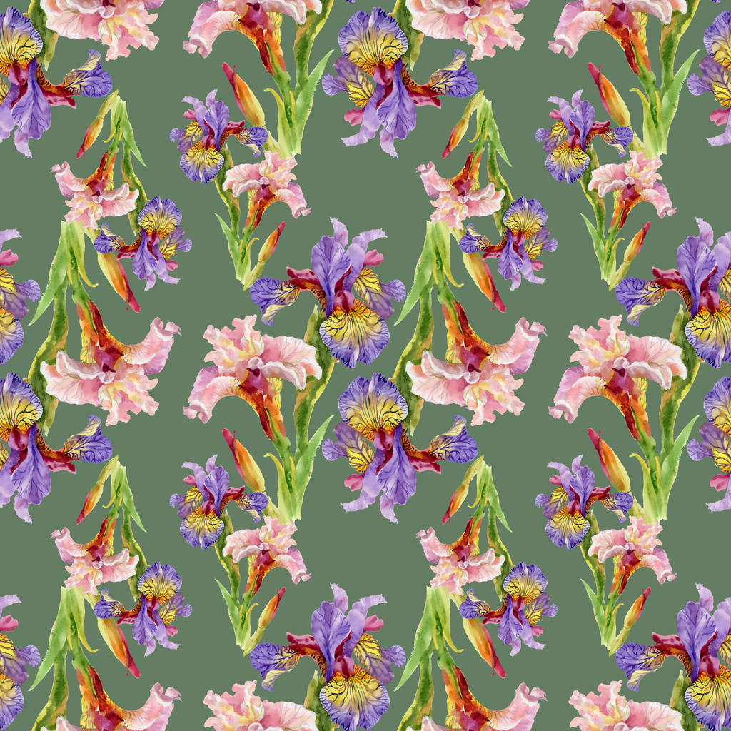 iris fleurs aquarelle motif sans couture
 - Photo, image