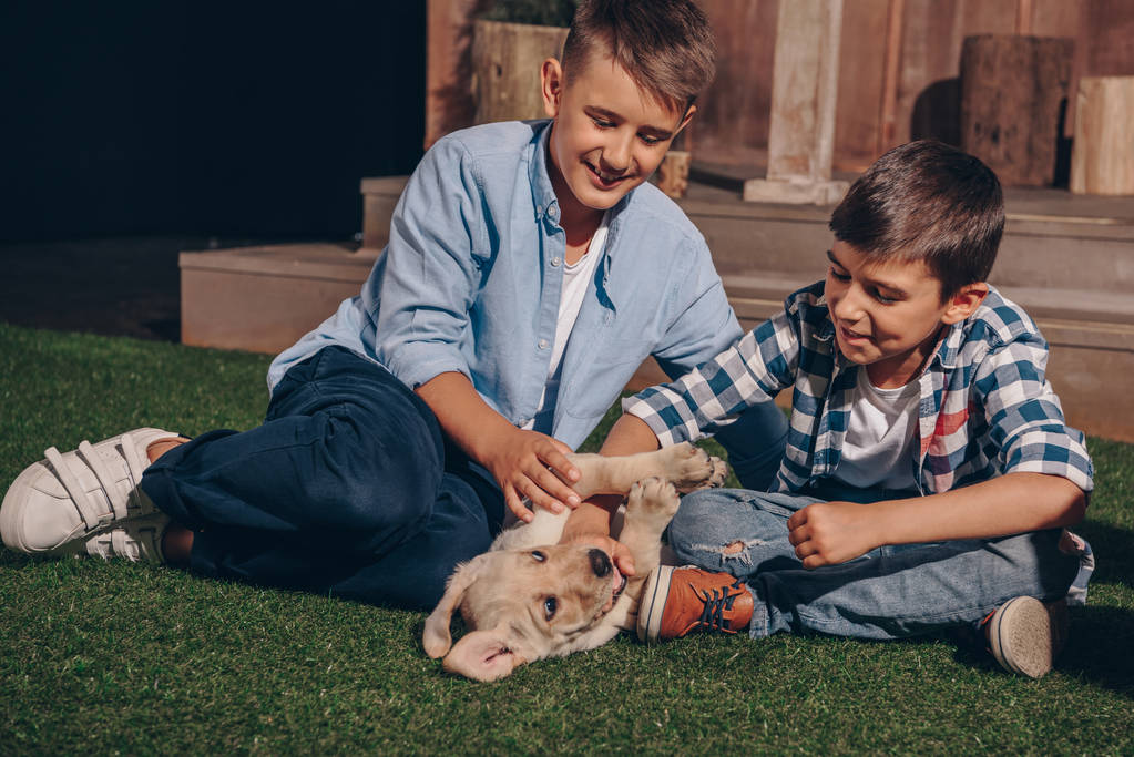 meninos brincando com filhote de cachorro labrador
 - Foto, Imagem