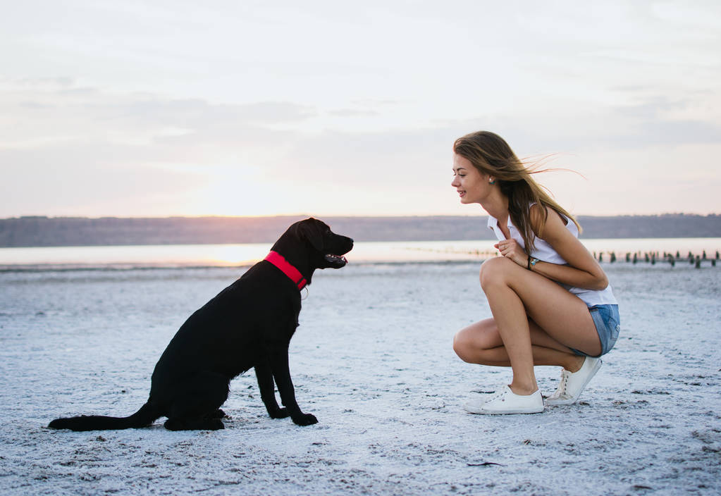 Jonge vrouwelijke opleiding labrador retriever hond op het strand bij zonsondergang - Foto, afbeelding