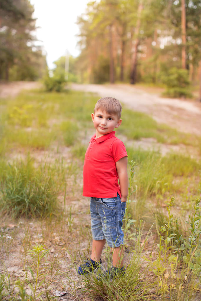 Roztomilý chlapec v letním parku - Fotografie, Obrázek