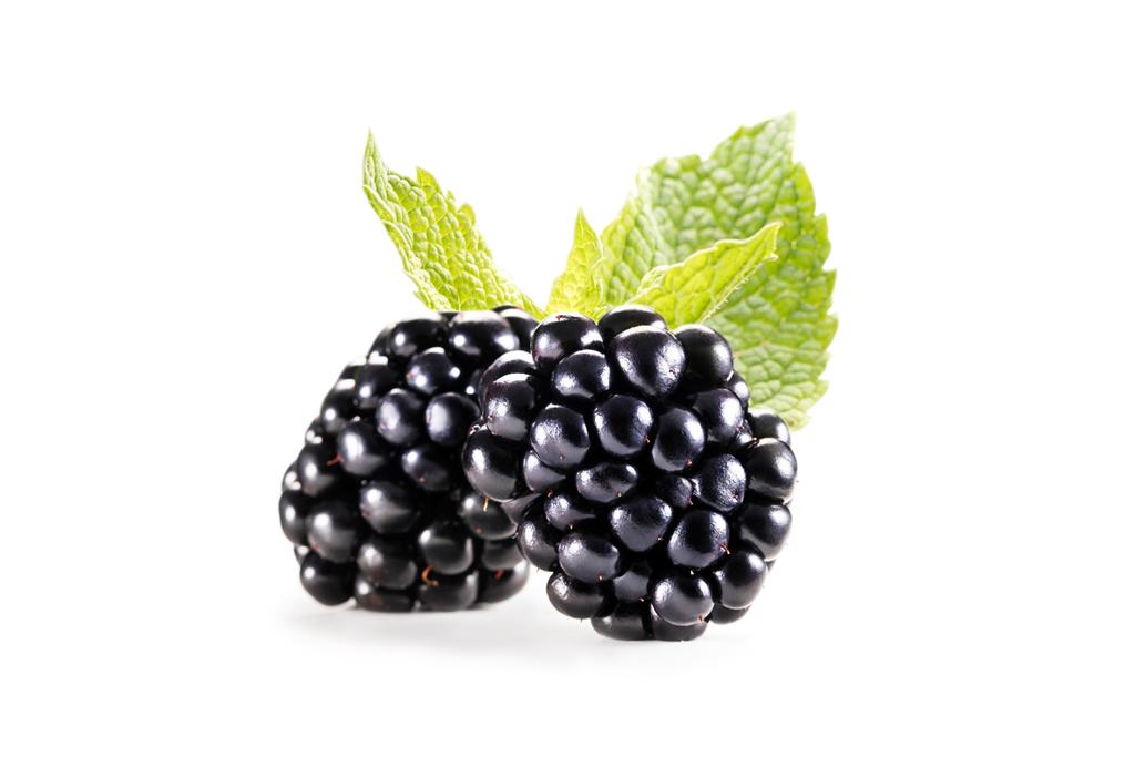 blackberries with mint leaves - Photo, Image