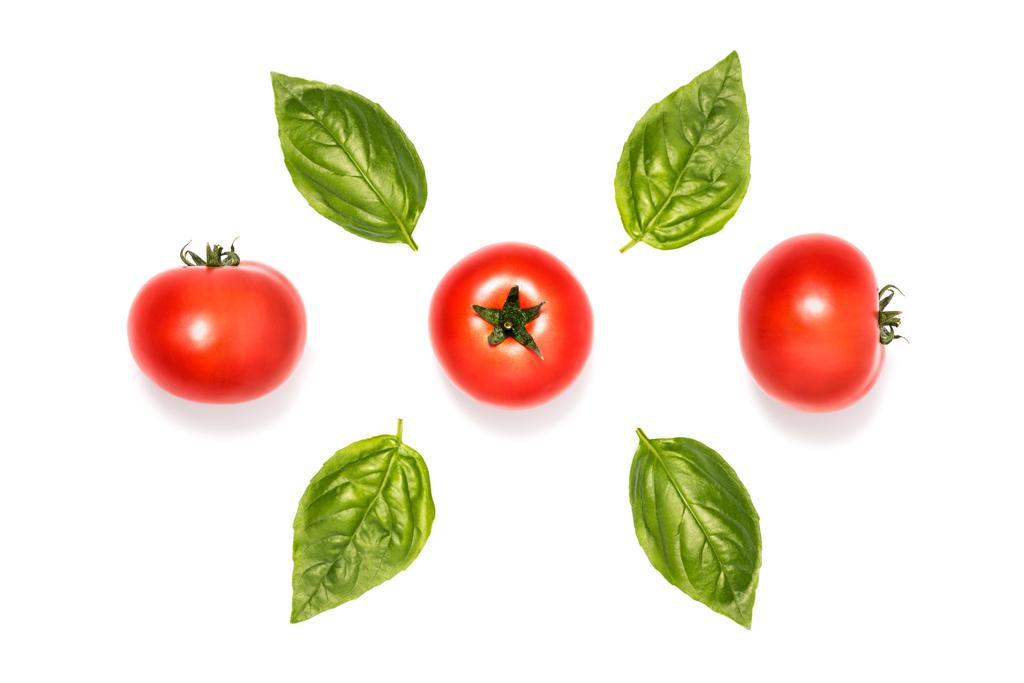 složení rajčat s bazalkou listy - Fotografie, Obrázek