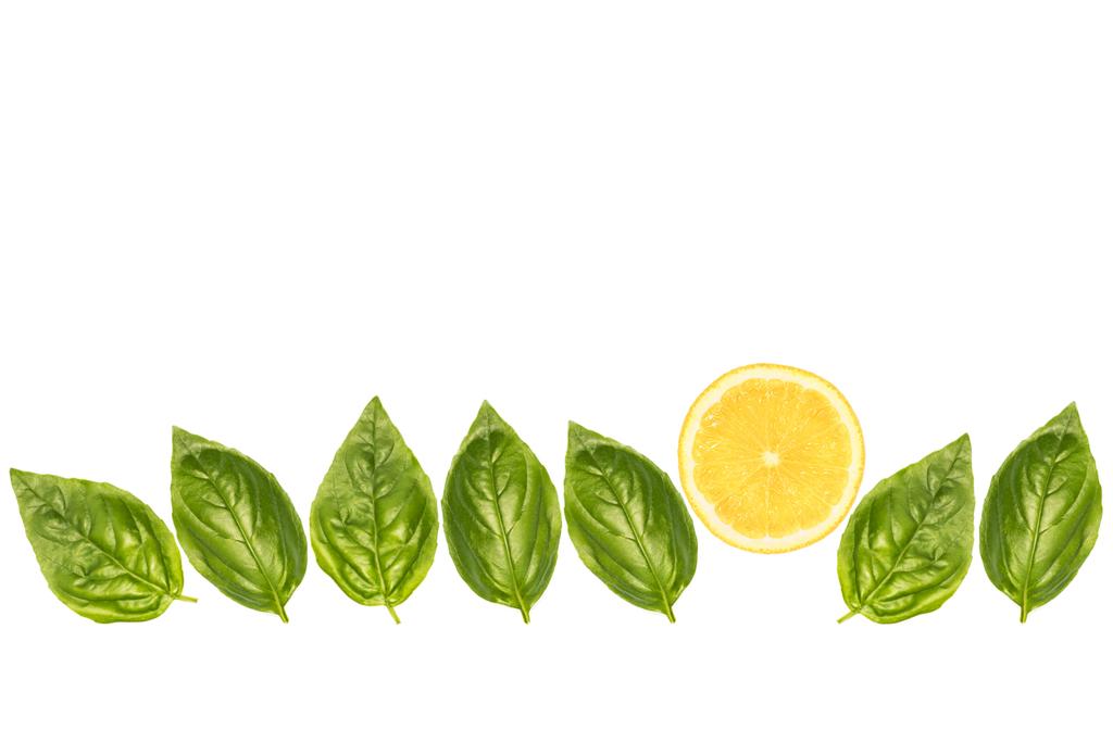 fesleğen yaprakları ve limon dilim - Fotoğraf, Görsel