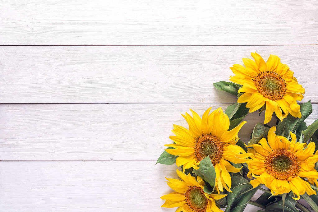 Hintergrund mit einem Strauß gelber Sonnenblumen auf weiß bemalt - Foto, Bild