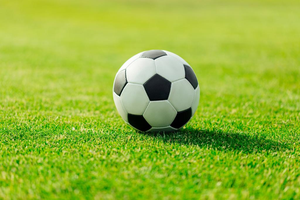 футбольний м'яч на траві
 - Фото, зображення
