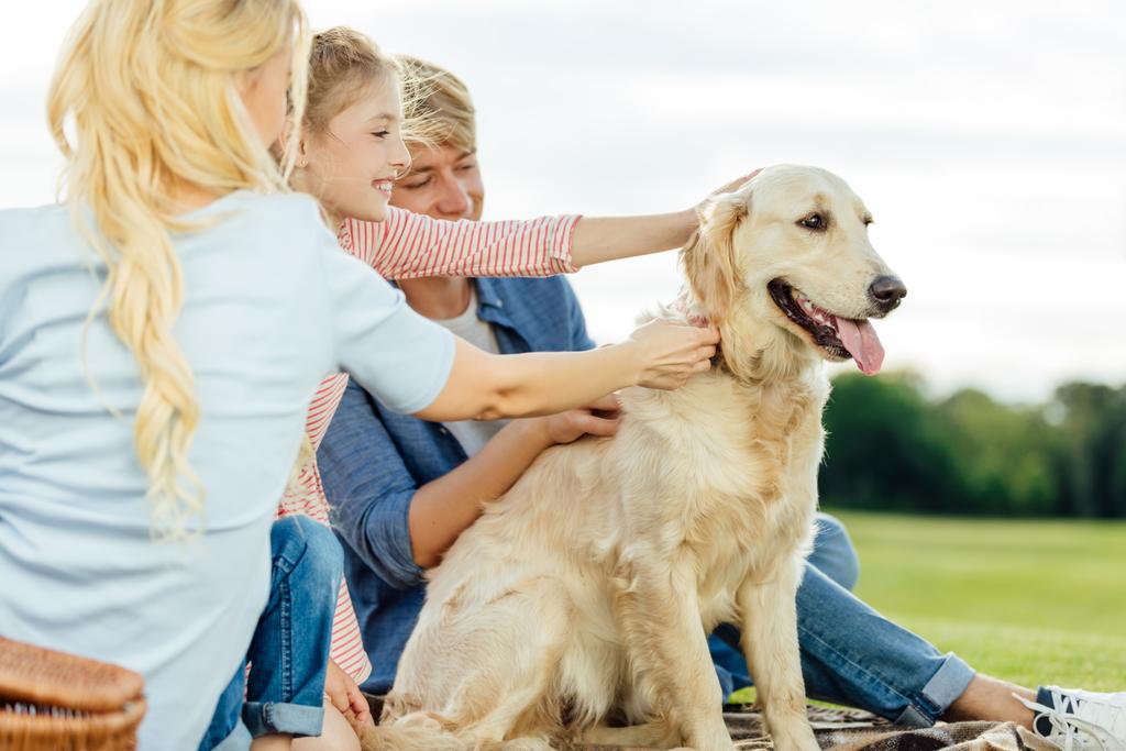 Gelukkige familie met hond in park - Foto, afbeelding
