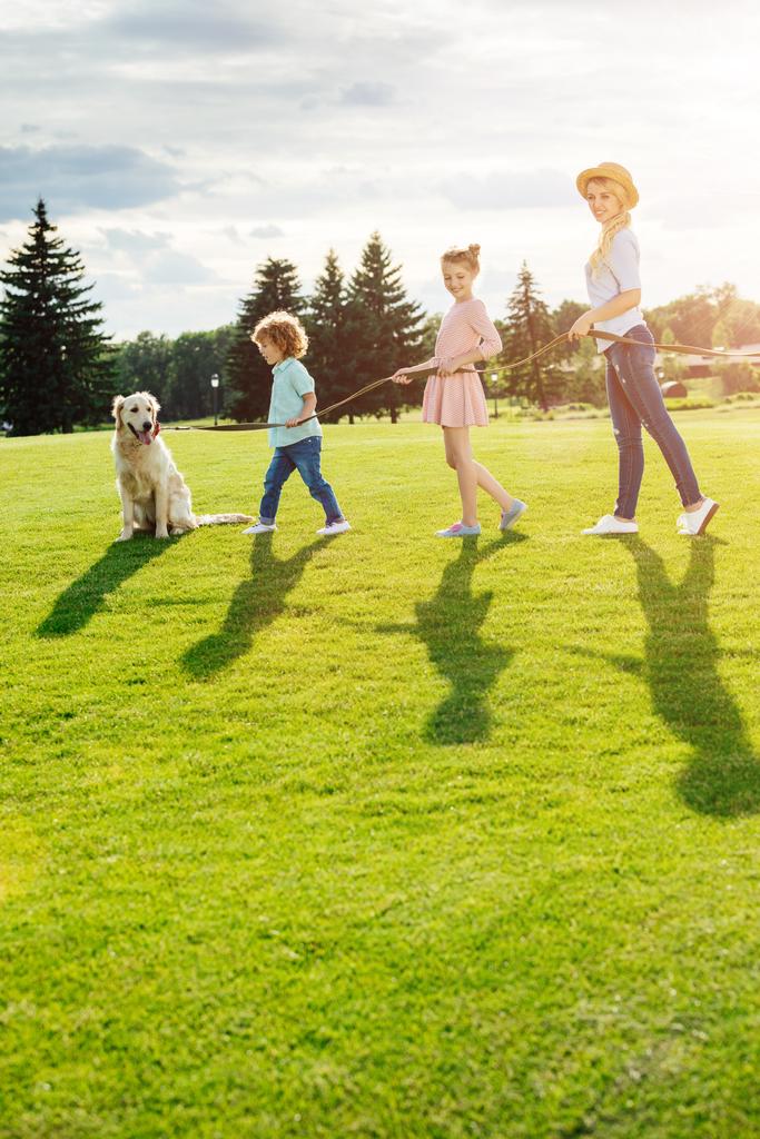 счастливая семья с собакой в парке
 - Фото, изображение