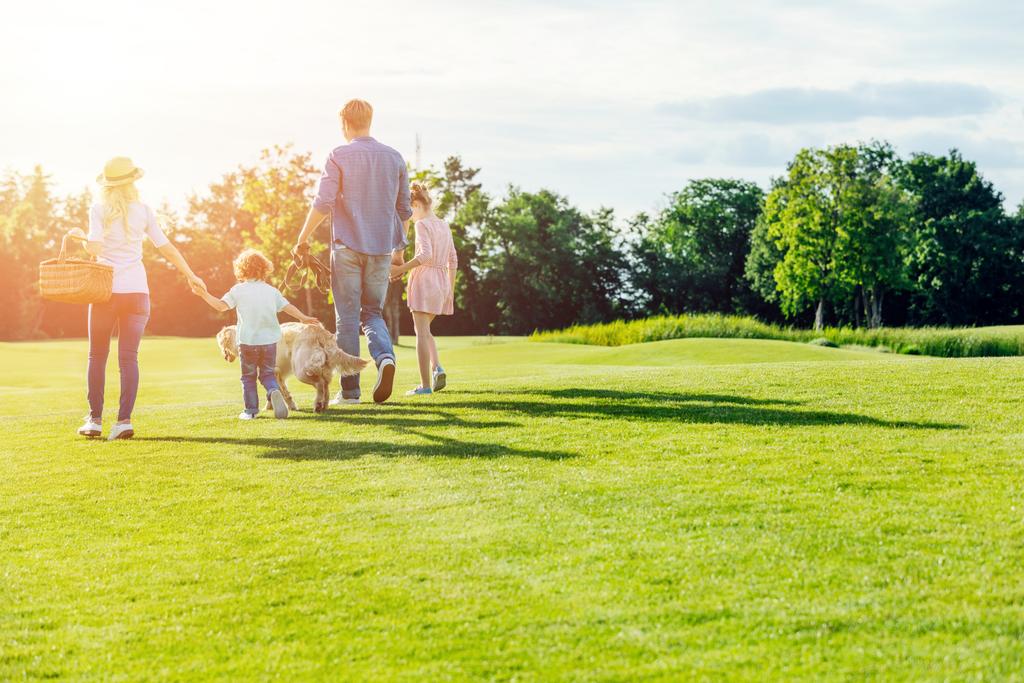 família com cão andando no parque
  - Foto, Imagem