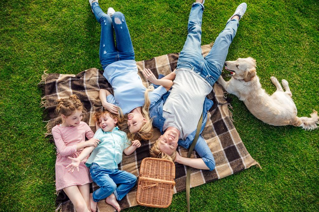 Familie mit Hund beim Picknick - Foto, Bild