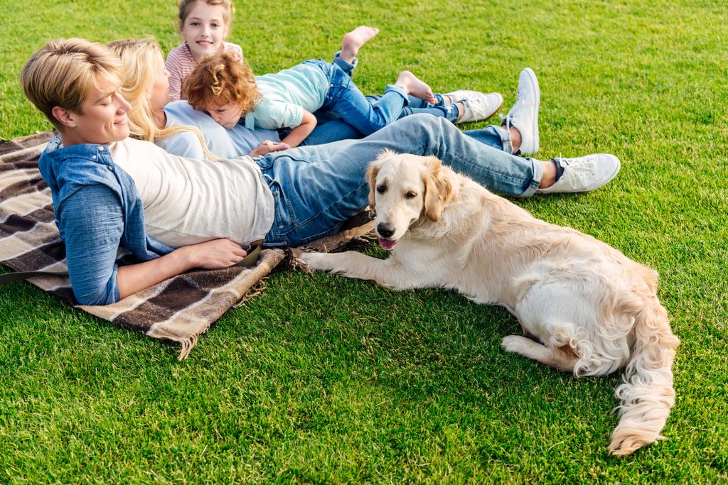 οικογένεια με σκύλο στο πικ-νικ - Φωτογραφία, εικόνα