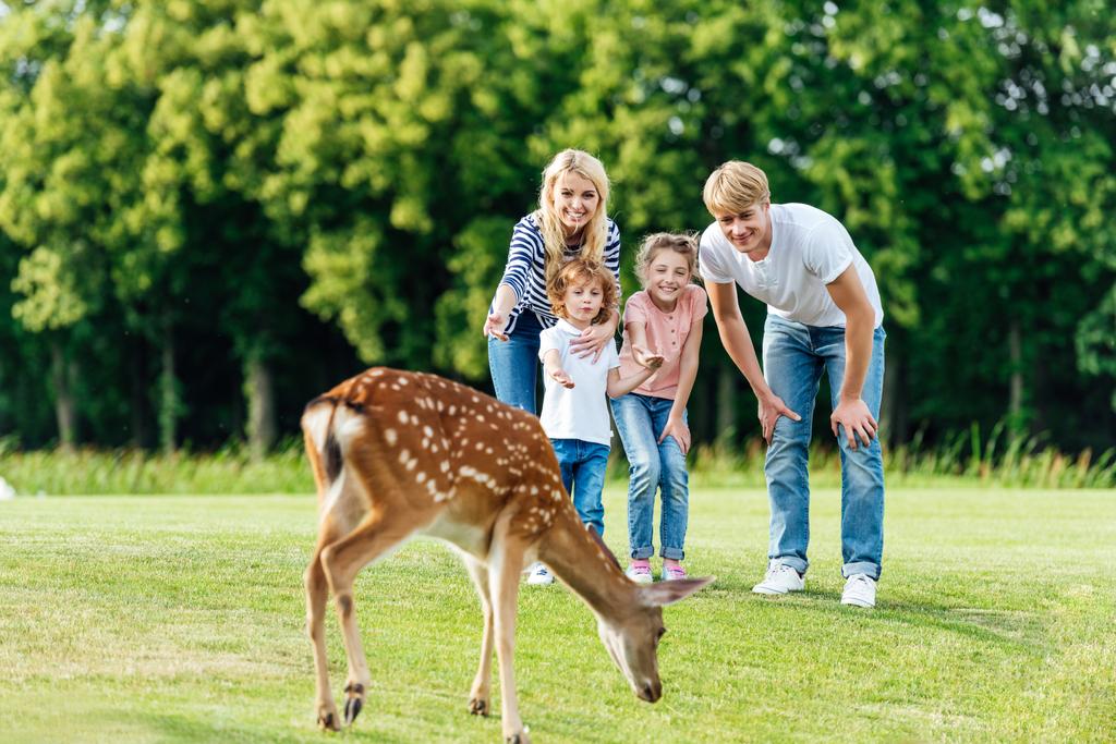 Семья смотрит на оленей в парке
 - Фото, изображение