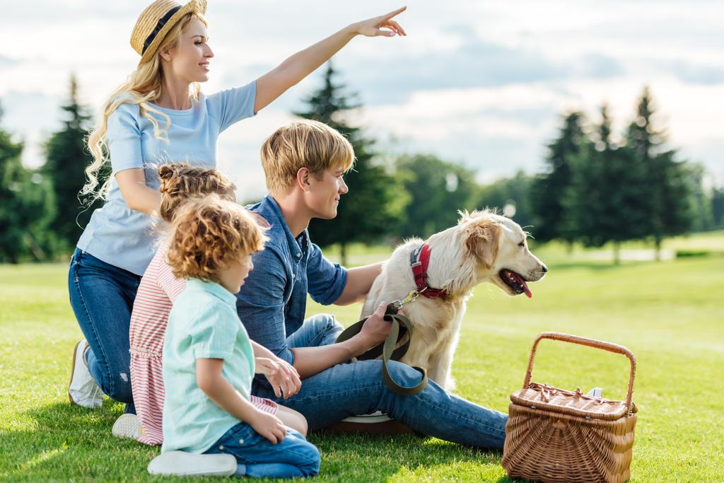 Perhe koiran kanssa piknikillä
 - Valokuva, kuva