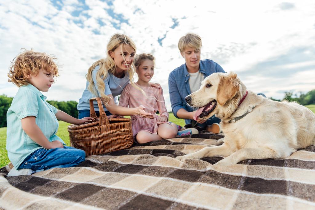 família com cão no piquenique
 - Foto, Imagem