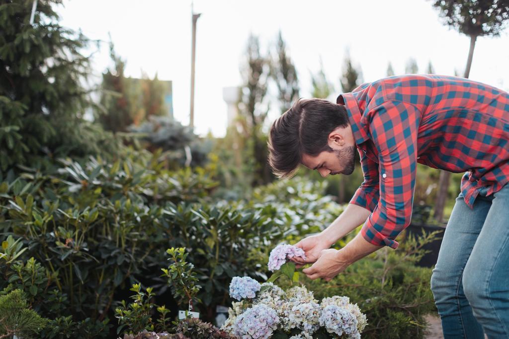 jardineiro verificando flores no jardim
 - Foto, Imagem