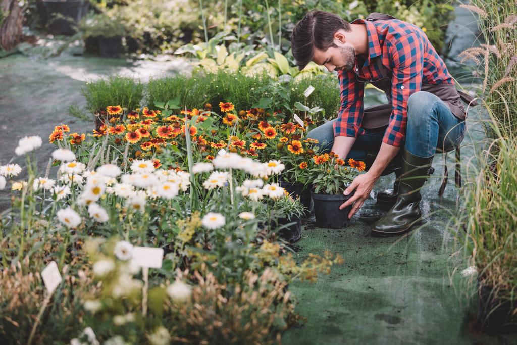 Κηπουρός που εργάζεται στον κήπο - Φωτογραφία, εικόνα