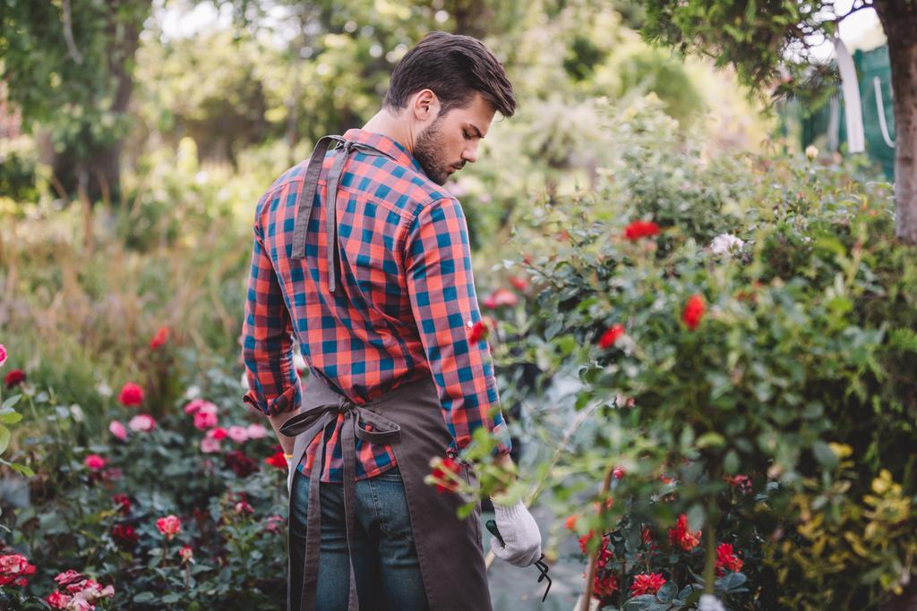 jardineiro em avental andando no jardim
 - Foto, Imagem