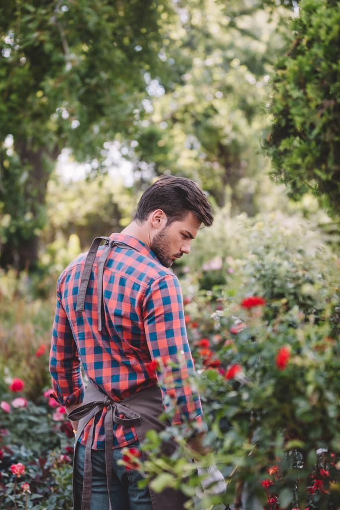 jardinero en delantal caminando en jardín
 - Foto, Imagen