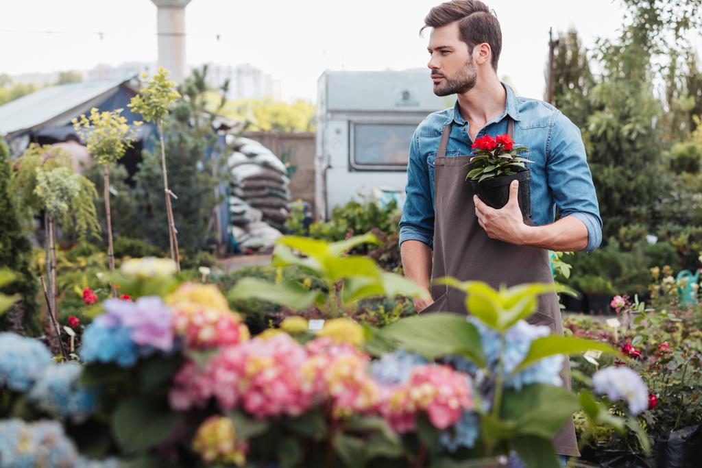 jardinero sosteniendo flor en maceta
 - Foto, imagen